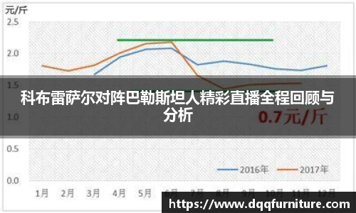 科布雷萨尔对阵巴勒斯坦人精彩直播全程回顾与分析